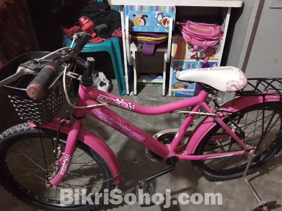 বাইসাইকেল